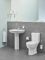 Йорж для унітазу Grohe Bau Cosmopolitan Neutral (40463001)