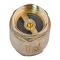 Клапан зворотній (латунь) Waterpro WP300-25 - 1" (WP3309)
